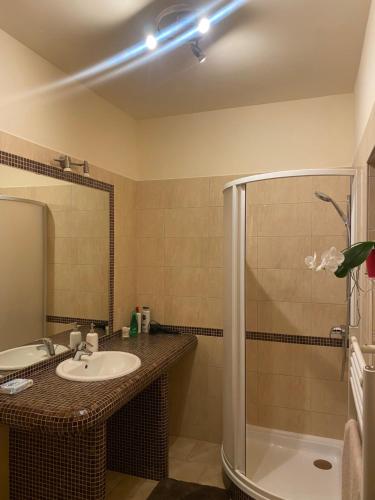 Garden Spa Resort, Budapest (foto 11)