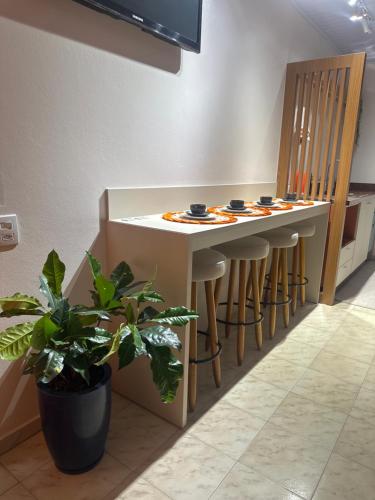 virtuve, La vita hospedaria studio laranja in Nova Veneza (Santa Catarina)