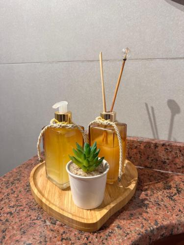 La vita hospedaria studio laranja in Nova Veneza (Santa Catarina)