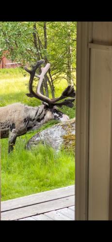 Tänndalens Stugby