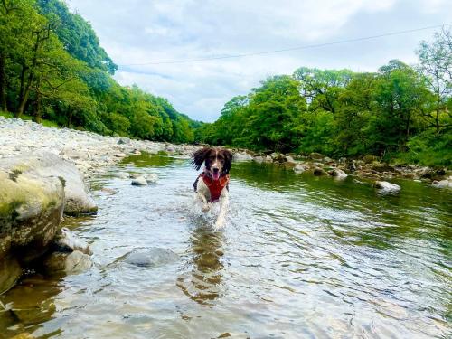 Mount Cottage nestled in the hills of the Lake District and Yorkshire Dales in Grayrigg
