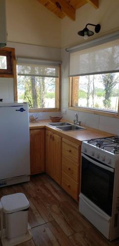 Kitchen, Cabana Morrina in Junín de los Andes