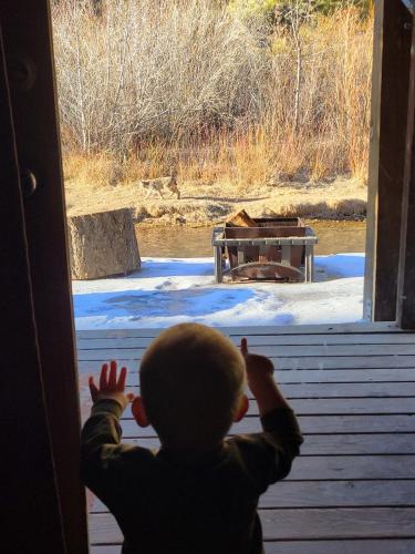 Streamside Retreat on the River - image 6