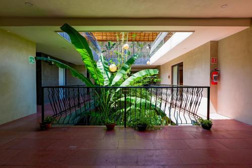 Calea Tulum Boutique Hotel – Tulum, TX