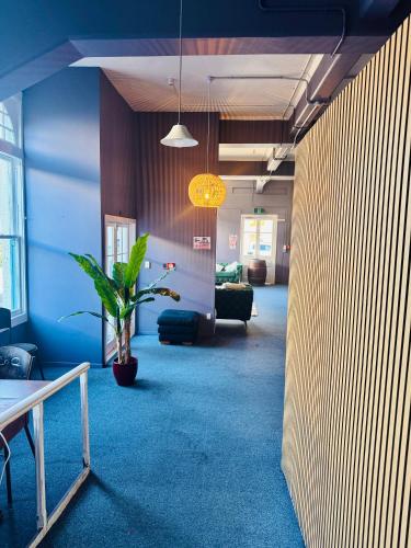 Crashpalace Napier in Napier