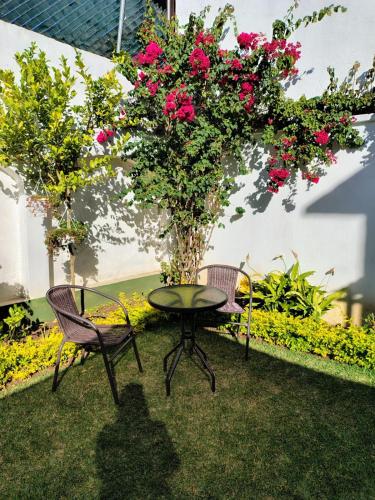 Kert, Hotel Urban Home near La Aurora nemzetközi repülőtér