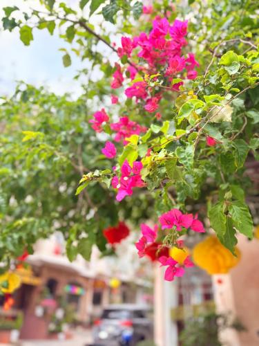Khách Sạn Mỹ Hằng – Dalat, KS