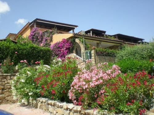 Dany's Home in Baia de Bahas