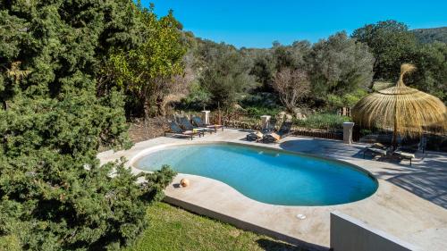 Deluxe Villa image 9