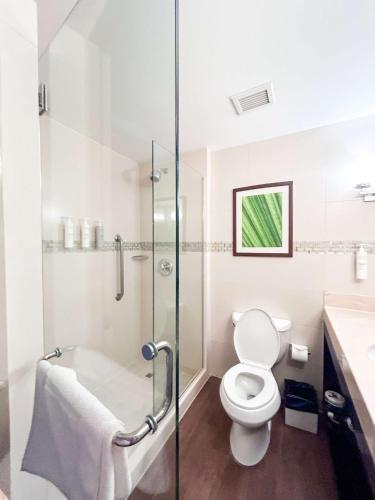 King Room image 2