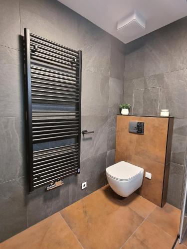 Bathroom, Apartma v klidne lokalite Krkonos in Pec pod Snezkou