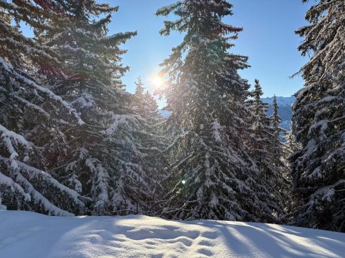 Corps Au Coeur in Crans Montana