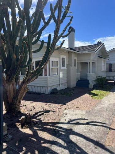 5 Bedroom House A with 13 Beds including 6 Double Beds, 2 Single Beds, and 5 Sofa Beds, Auckland (photo 2)