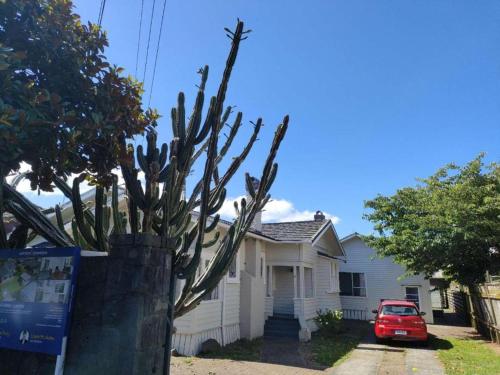 5 Bedroom House A with 13 Beds including 6 Double Beds, 2 Single Beds, and 5 Sofa Beds, Auckland (photo 8)