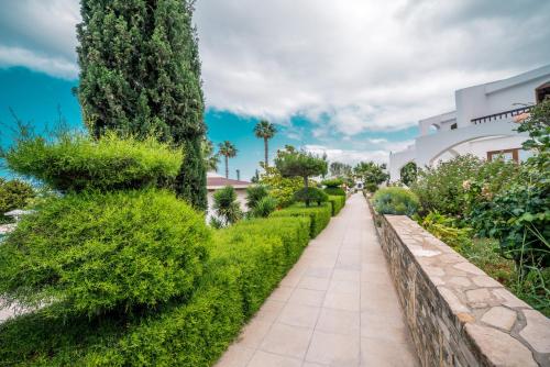 The Olive Tree Hotel - image 9