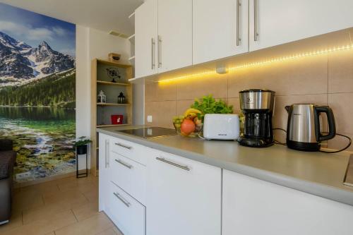 Topaz Apartamenty Mozaika Centrum dwie sypialnie, Zakopane (fotografie 10)