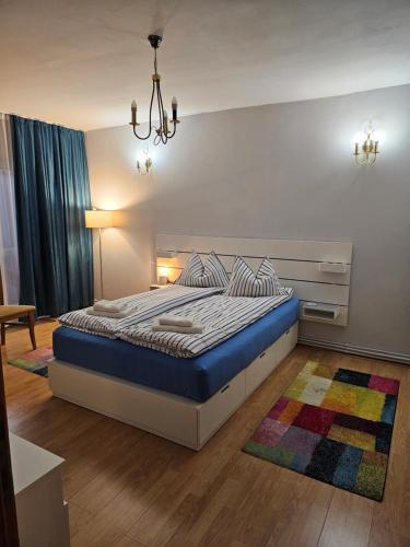 Apartament David Deva - 2 dormitoare & 1 living, Deva (fotografie 7)