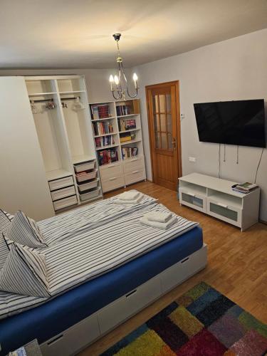 Apartament David Deva - 2 dormitoare & 1 living, Deva (fotografie 9)
