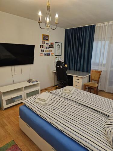Apartament David Deva - 2 dormitoare & 1 living, Deva (fotografie 10)