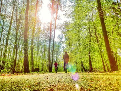 Sport és szabadidő, Bungis - 28 Ferienhäuser Am Grimnitzsee G1 (Bungis - 28 Ferienhauser Am Grimnitzsee G1) in Joachimsthal