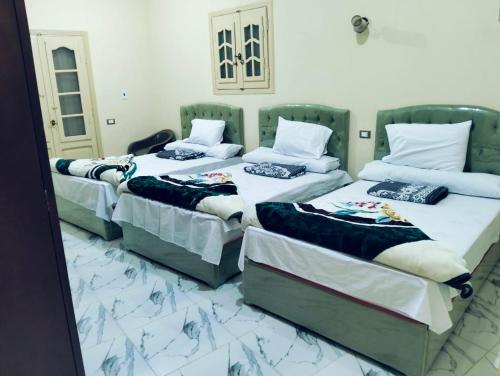 فندق العجواني, Siwa (foto 8)