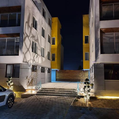 Apartament elegant cu terasă 2
