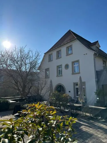 Rebgut in Lauda-Königshofen, Deutschland