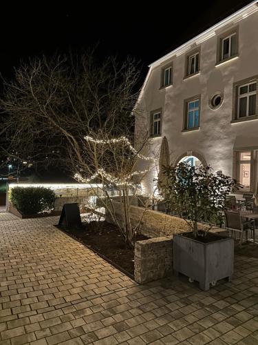 Rebgut - image 7