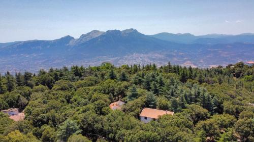 Monte Ortobene 1, Nuoro