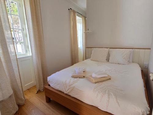 Ficus Suites, Ponta do Sol (foto 8)