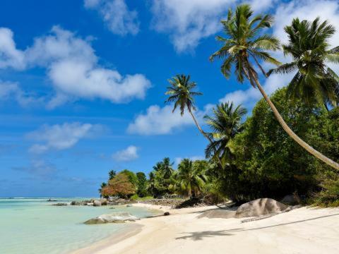 L’échappée du Cap L’échappée du Cap