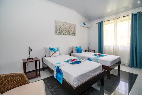 L’échappée du Cap L’échappée du Cap