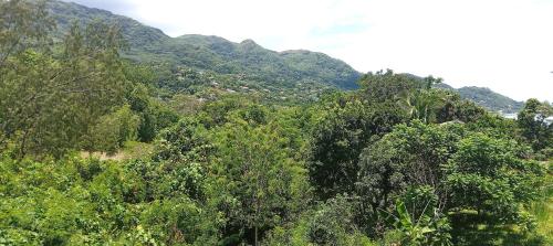 L’échappée du Cap L’échappée du Cap