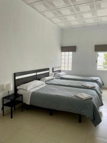 Hostal Kaizen, La Nucía (fotografie 3)
