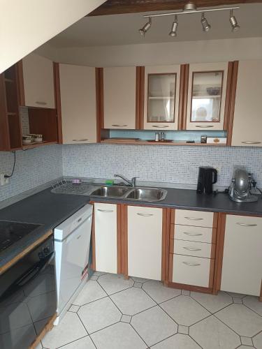 Kitchen, Apartman v podkrovi Olomouc in Lazce