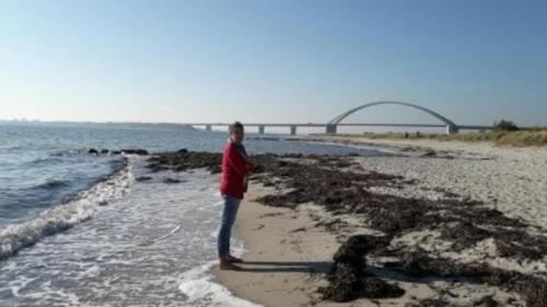 FW Einfeldt in Todendorf