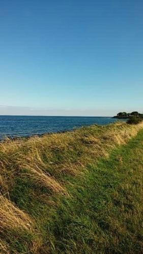 FW Einfeldt in Todendorf