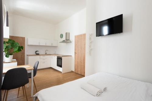 Tesnov Residence Apartments Near The Center - Easy Self Check in, Praga (foto 7)