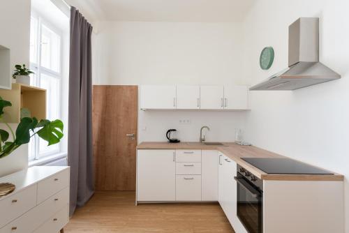 Tesnov Residence Apartments Near The Center - Easy Self Check in, Praga (foto 10)
