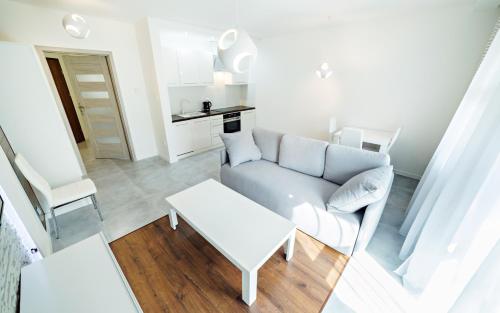 One-Bedroom Apartment image 2