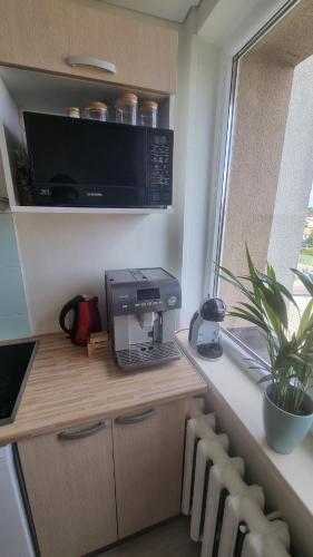 Tiny cozy apartment 'Unihus' in 瓦雷納