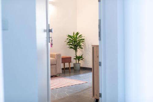 Solaris Apartments Solaris Apartments