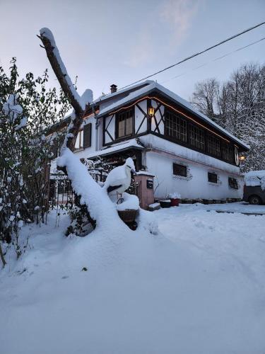 Viesnīcas āriene, Chez Sandrine au Creux Chêne (Chez Sandrine au Creux Chene) in Rombach-le-Franc