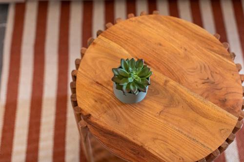 Solaris Apartments Solaris Apartments