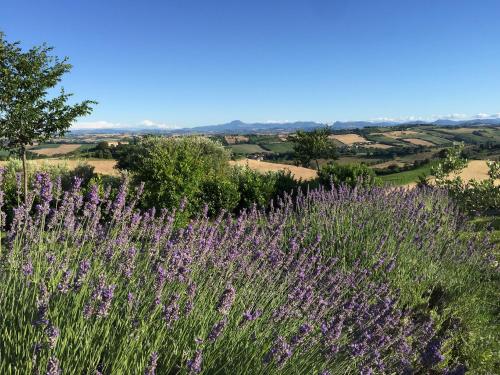  Solea Relais di Charme- Adults only in Trecastelli