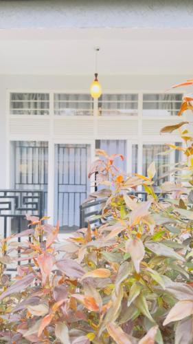 Minimalist & Cozy 2-Bedroom Apartment with garden, Kigali (fotografie 6)
