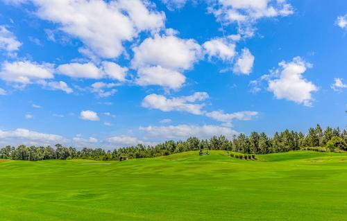 Newly Listed - A Golfers Paradise - Legends Golf in Myrtle Beach, USA