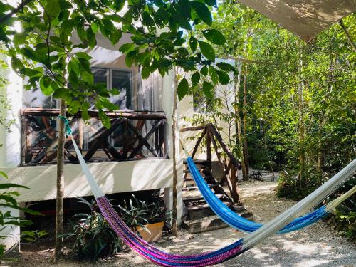 Bungalow Bé La Kin in Cozumel, Mexico