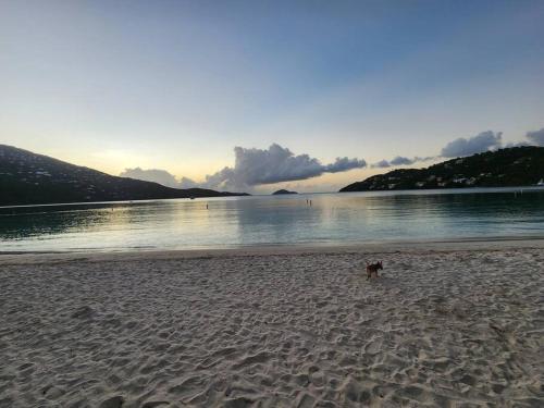 Tropical Treehouse In Paradise St Thomas in Nazareth
