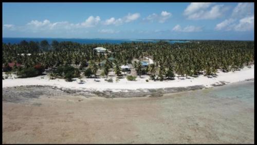 Tematavainui lodge in Tikehau Atoll